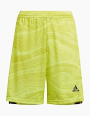 Acid Yellow