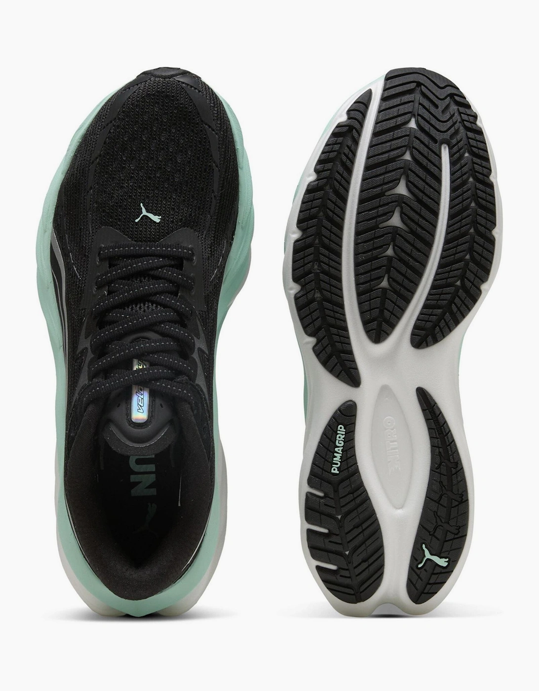 Velocity Nitro 4 Everyday Neutral Road Running Shoes