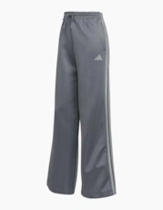 Grey Six/Ch Sol