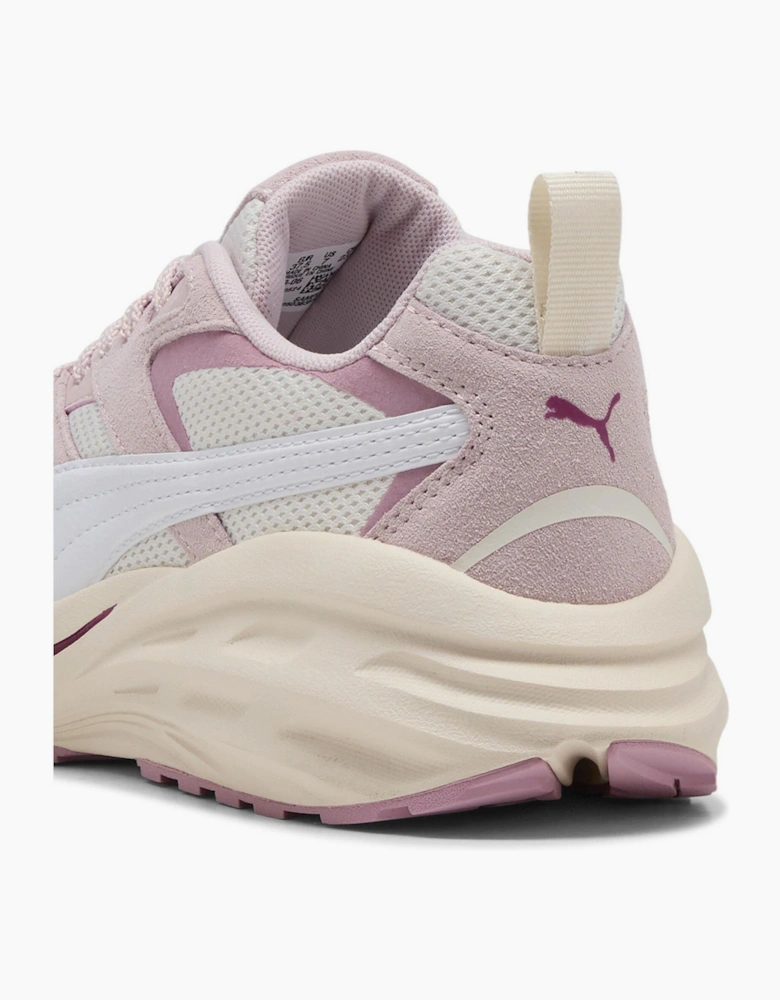 Hypnotic Low Top Trainers