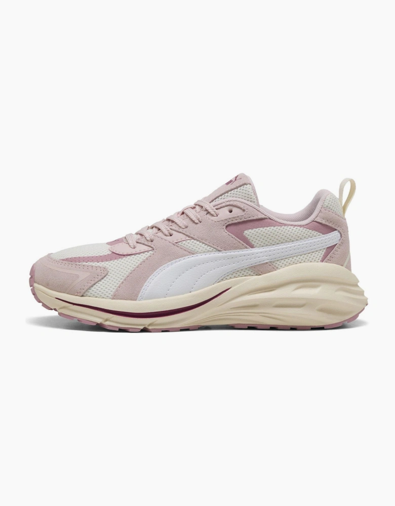 Hypnotic Low Top Trainers