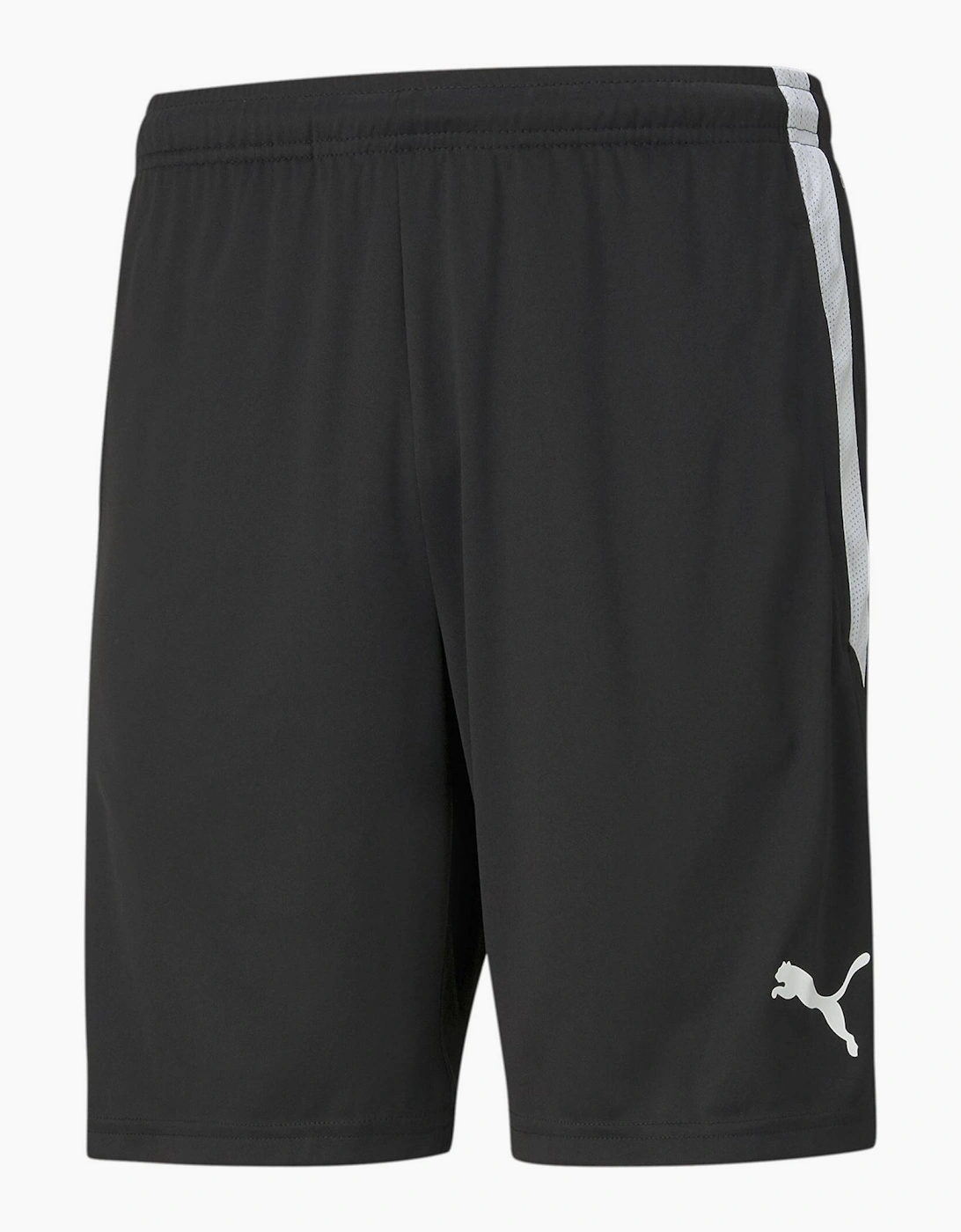 Mens Teamliga Training Shorts Football Shorts, 7 of 6