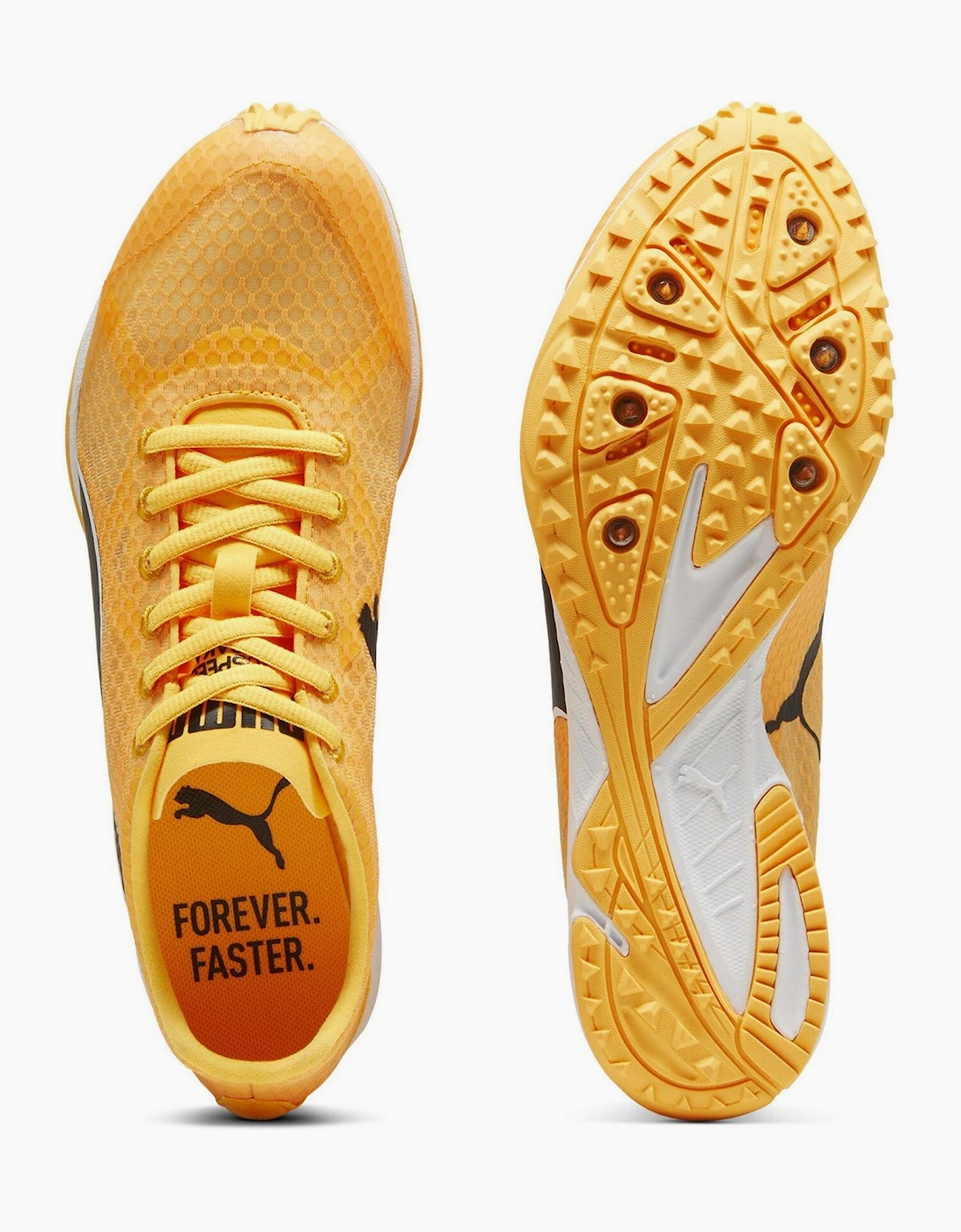Evospeed Haraka 8 Track Running Spikes