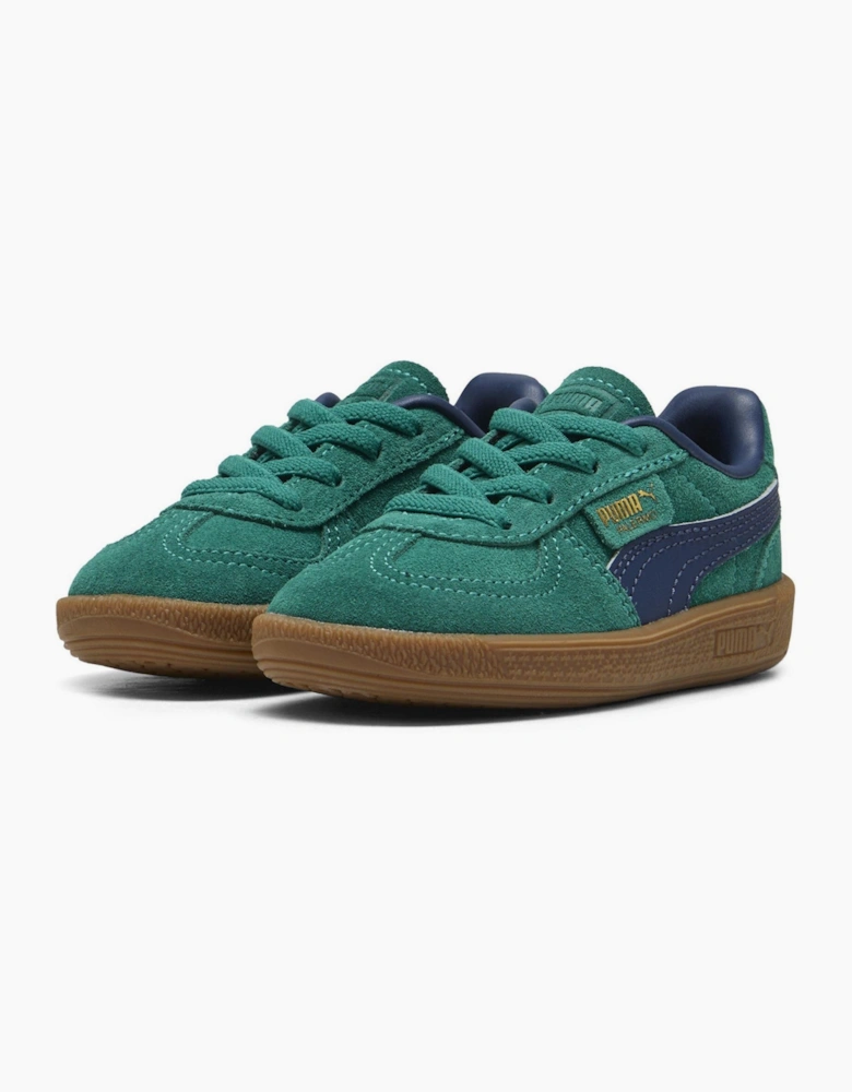 Low Top Trainers