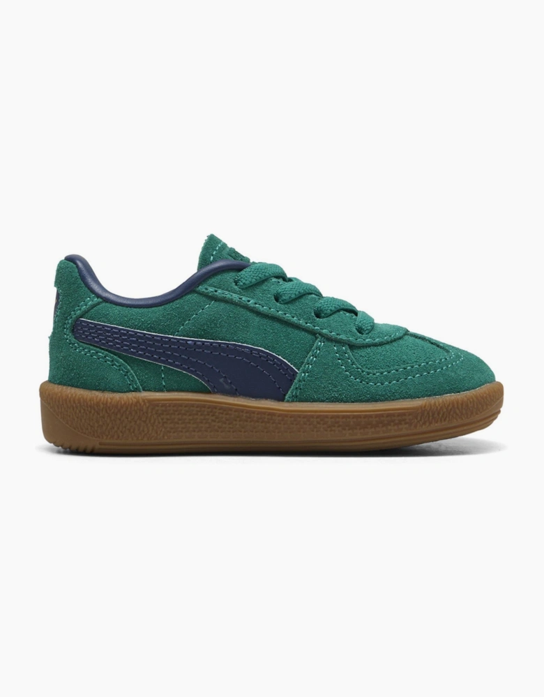 Low Top Trainers