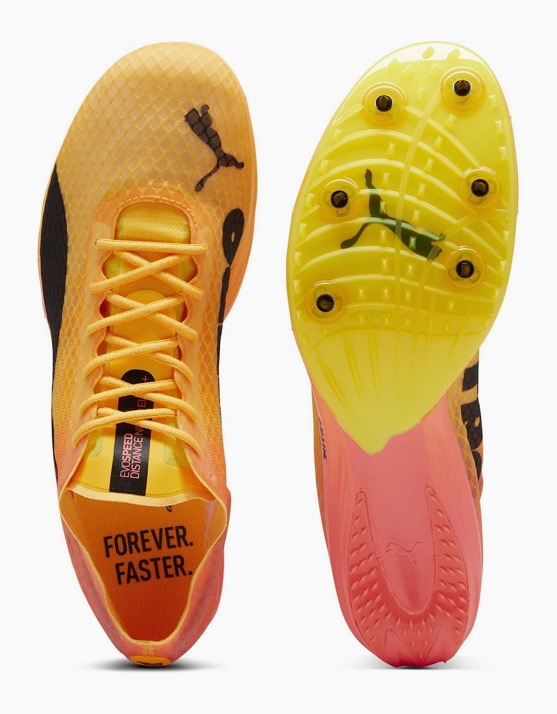 Evospeed Distance Nitro E Track Running Spikes