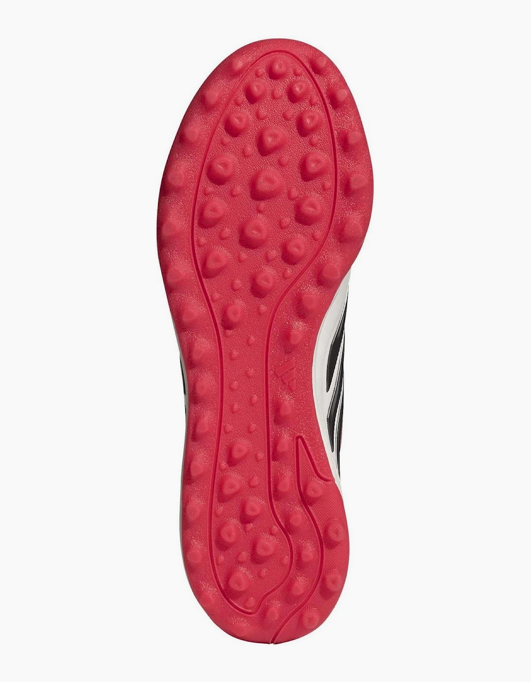 Copa Pure iv