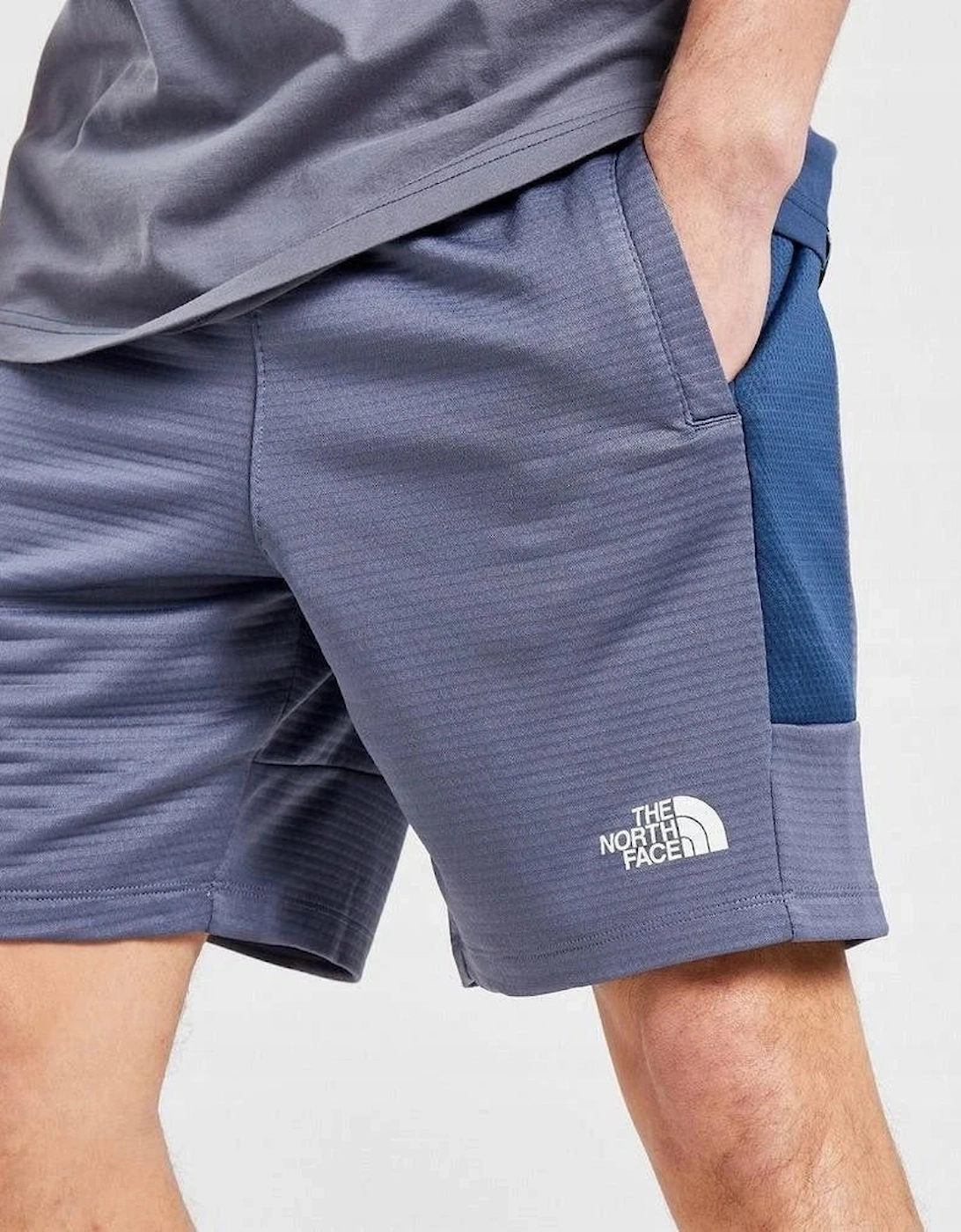The North Face Mens Mountain Fleece Shorts