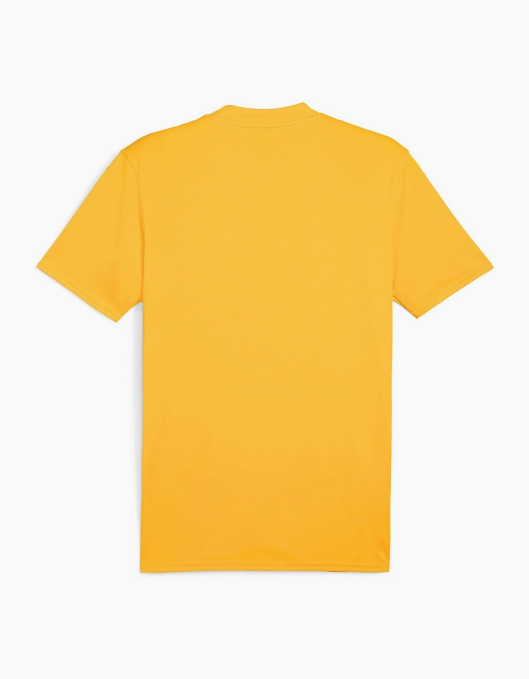 Mens Teamglory Jersey T-Shirt