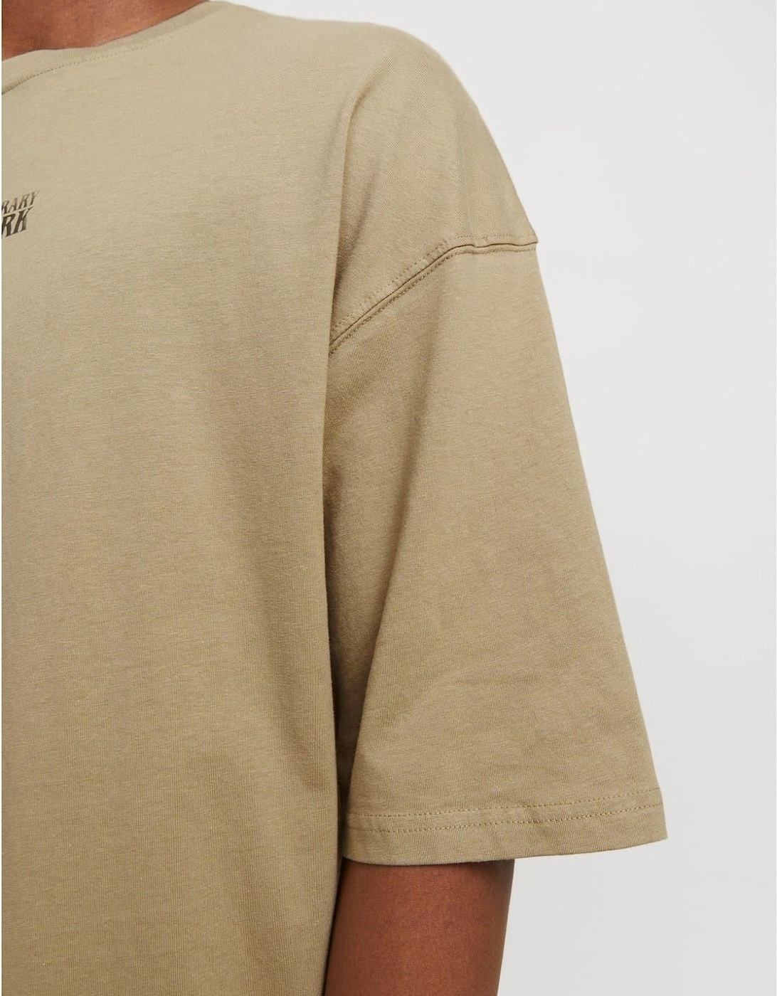 Regular Fit Graphic T-Shirt