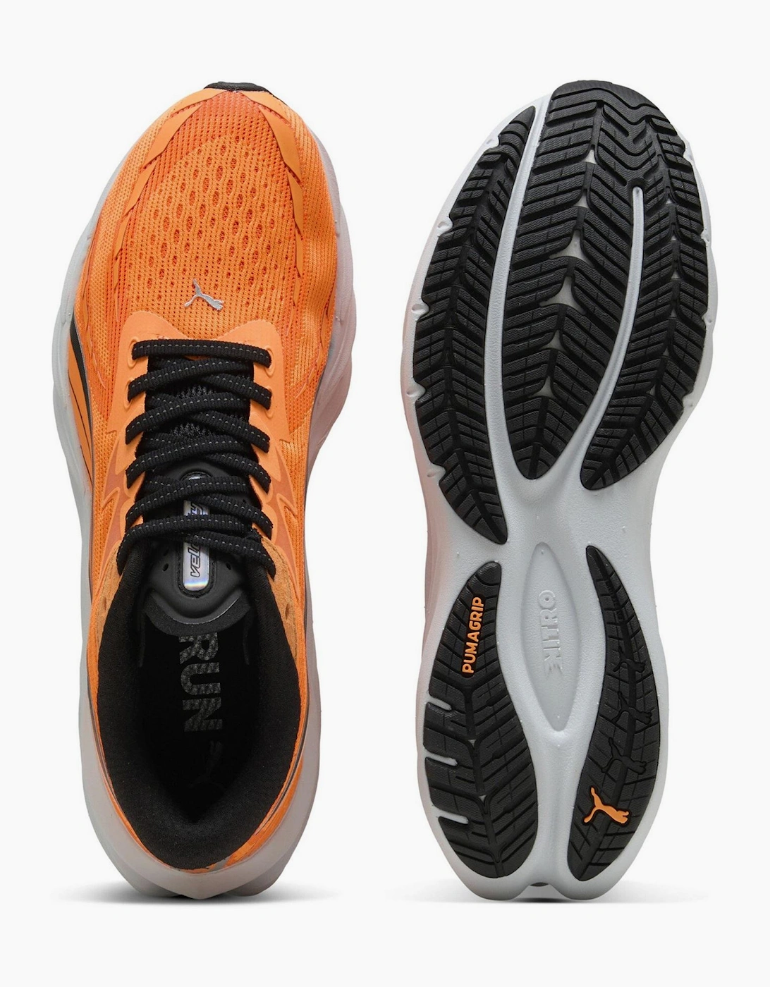 Velocity Nitro 4 Running Shoes