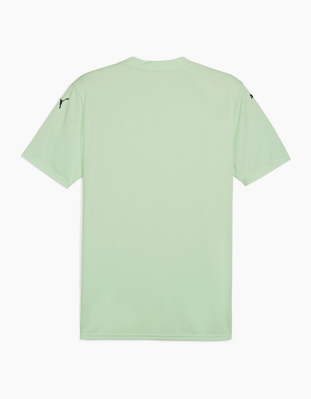 Mens Teamglory Jersey T-Shirt