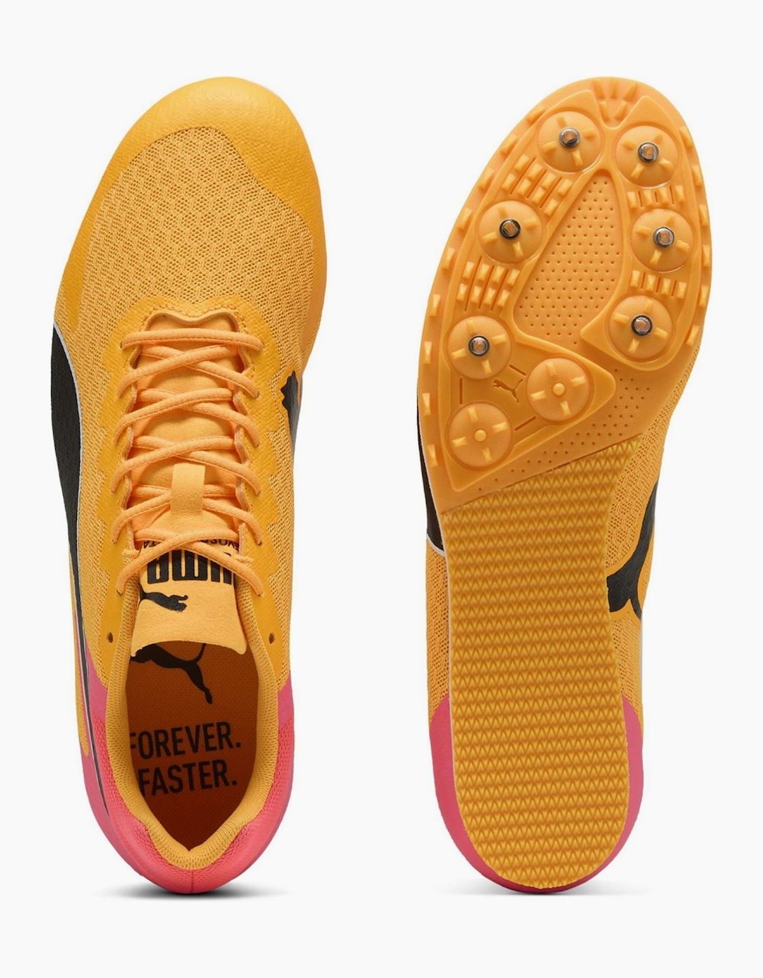 Evospeed Star 9 Track Running Spikes