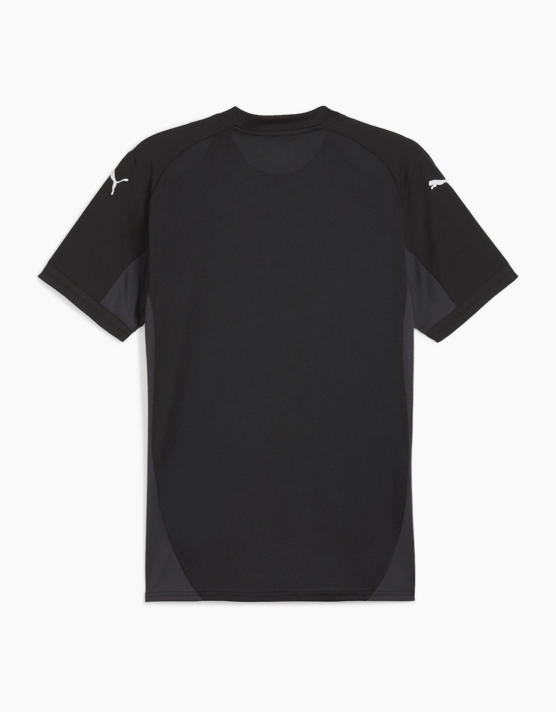 Mens Teamfinal Jersey T-Shirt