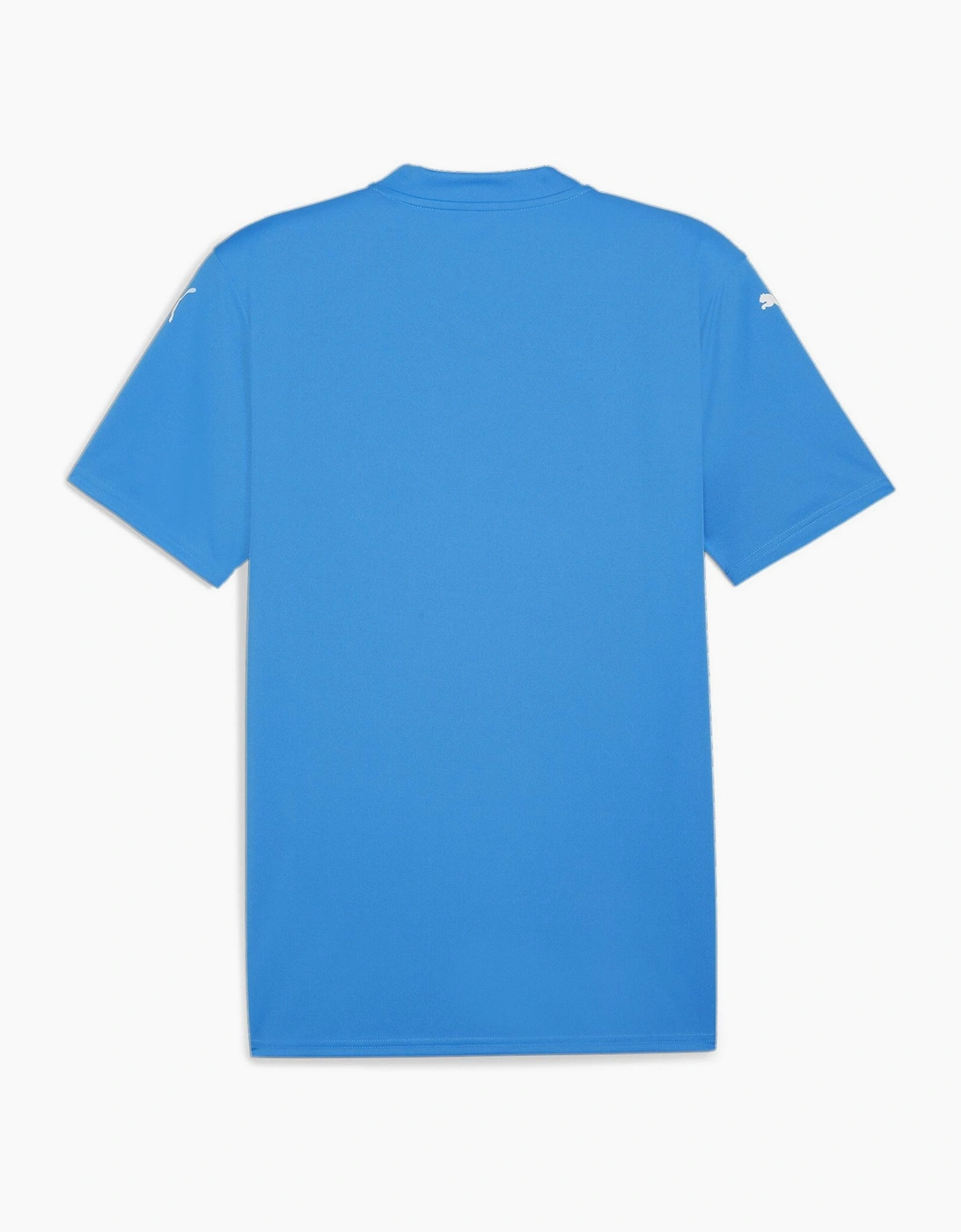 Mens Teamglory Jersey T-Shirt