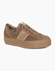 002 Antelope Sde/ Ea