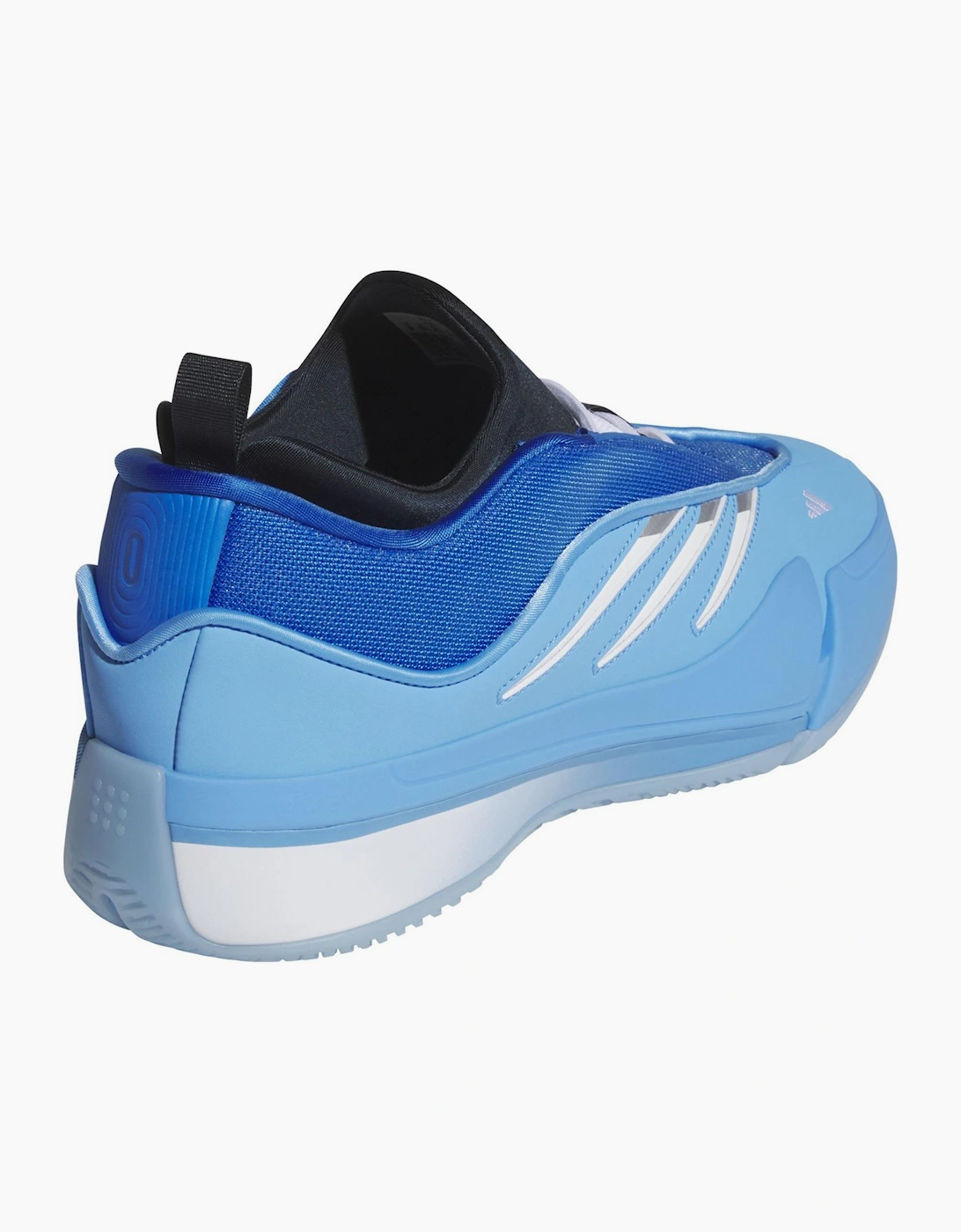 Basketball Trainers