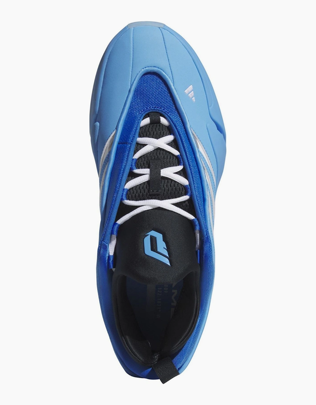 Basketball Trainers
