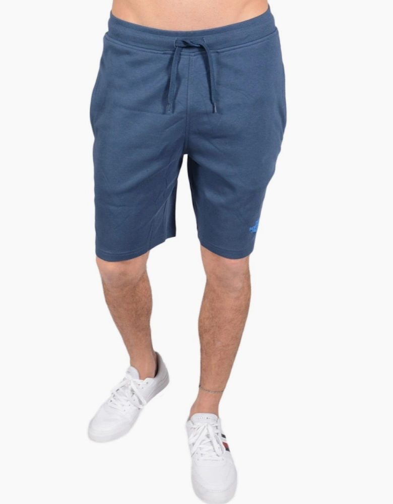 The North Face Mens Graphic Shorts in Teal Blue