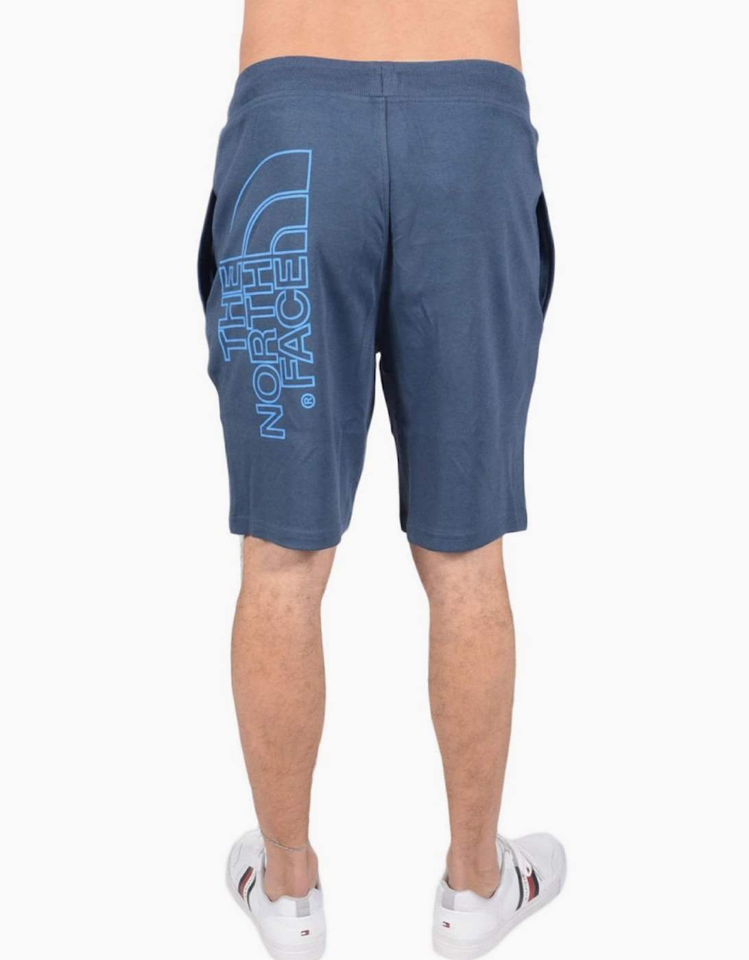 The North Face Mens Graphic Shorts in Teal Blue