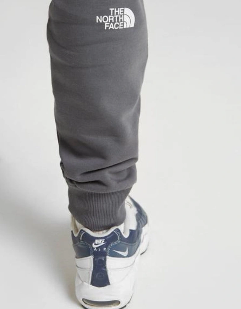 The North Face Mens M COT Joggers in Grey