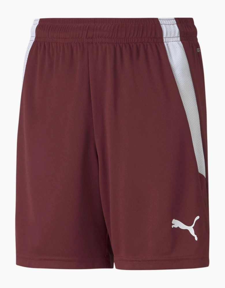Teamliga Shorts Jr Football Short Unisex Kids