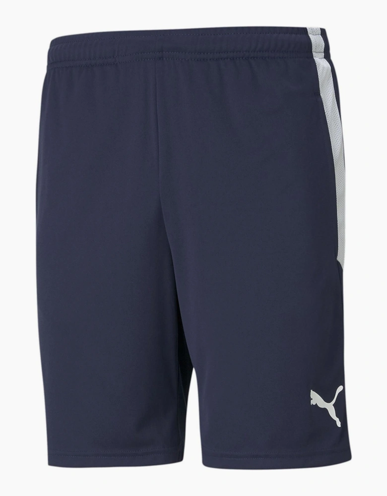 Mens Teamliga Training Shorts Football Shorts