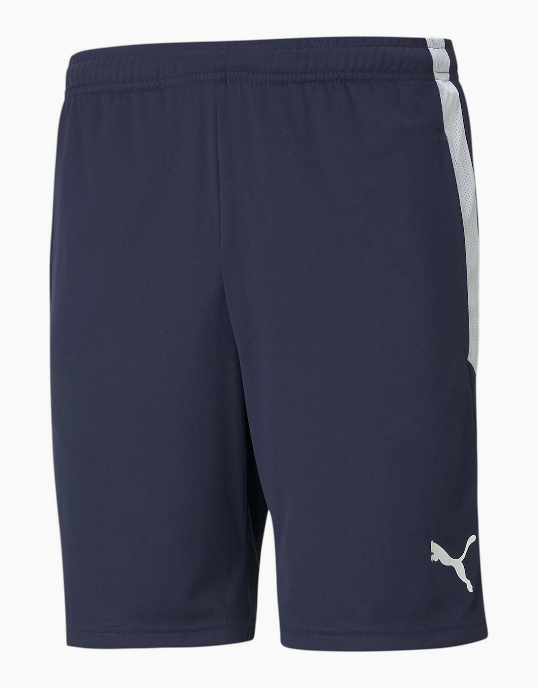 Puma Men's Mens Teamliga Training Shorts Football Shorts - Navy - Size, 44/38/39/32