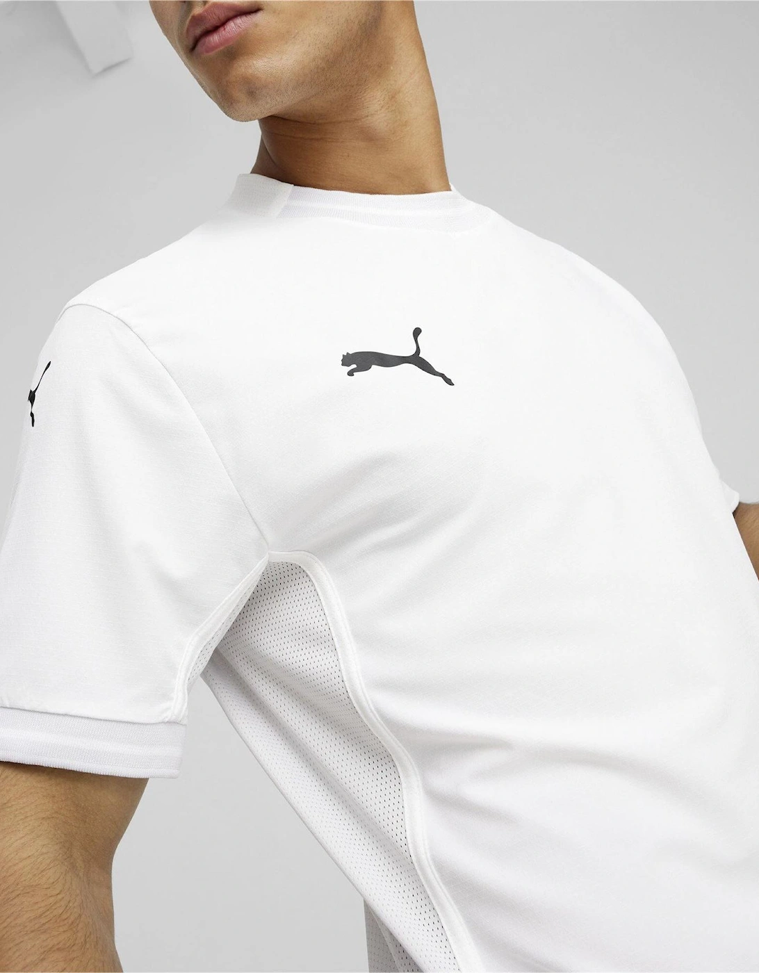 Mens Teamfinal Jersey T-Shirt