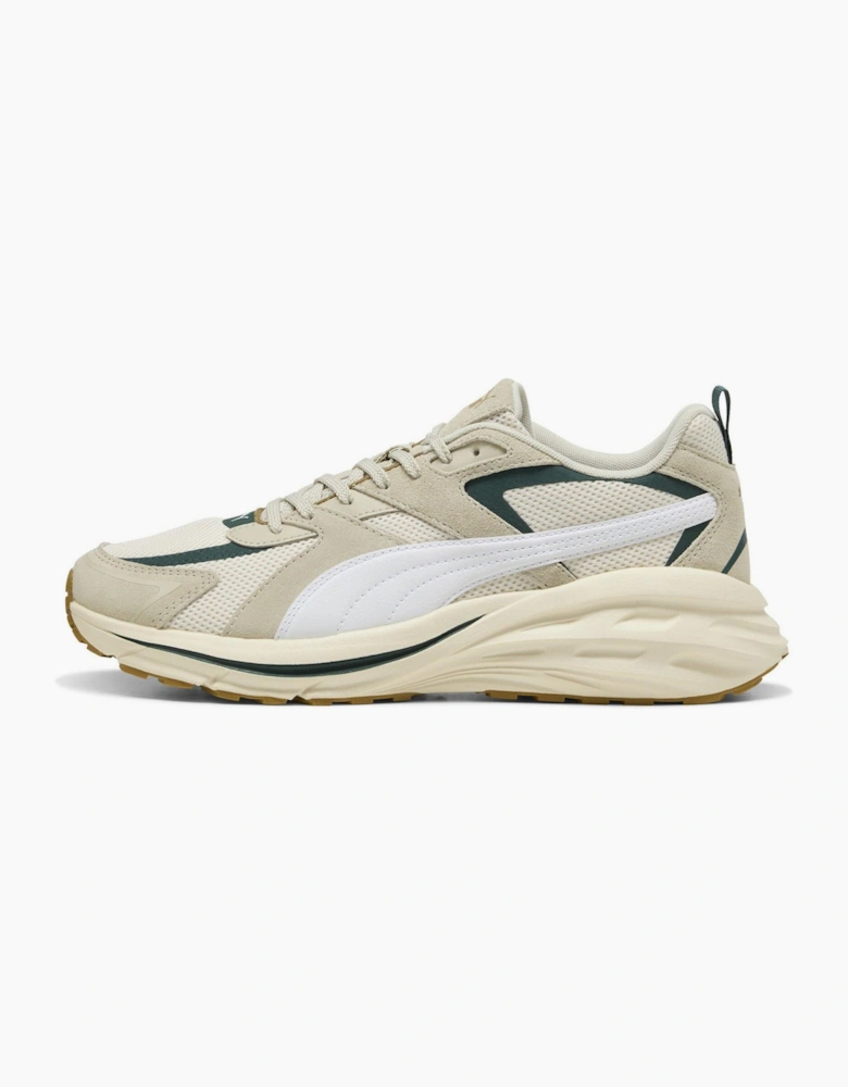 Hypnotic Low Top Trainers
