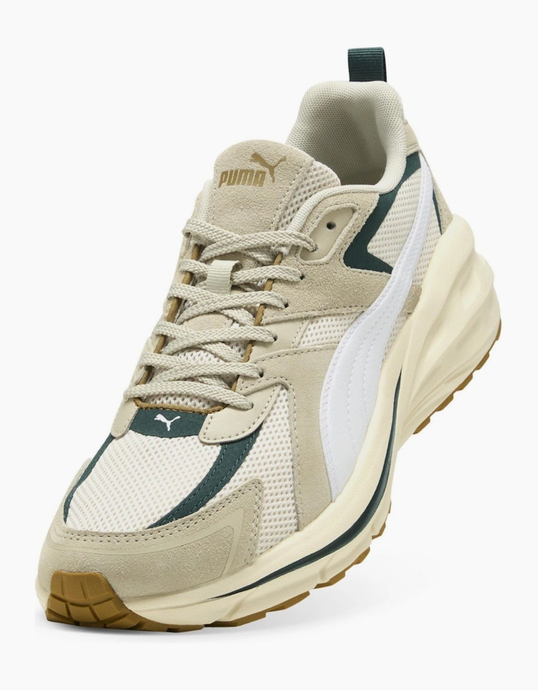 Hypnotic Low Top Trainers