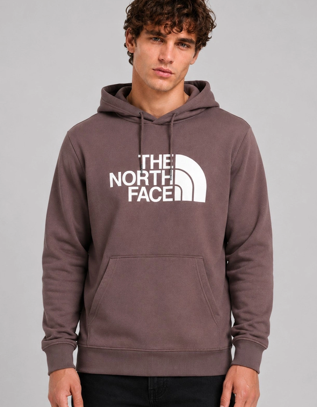 The North Face Men's Standard Half Dome Pullover Hoodie in Graphite Purple
