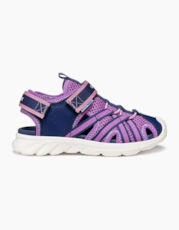 Navy / Purple