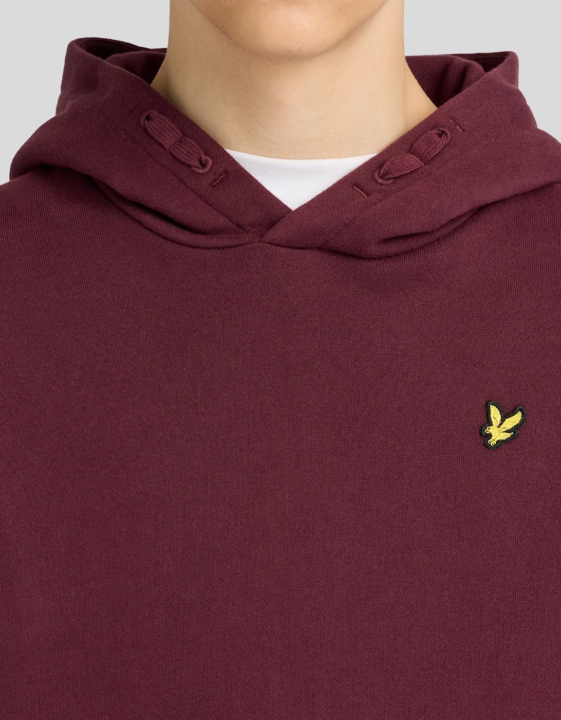Brush Back Hoodie