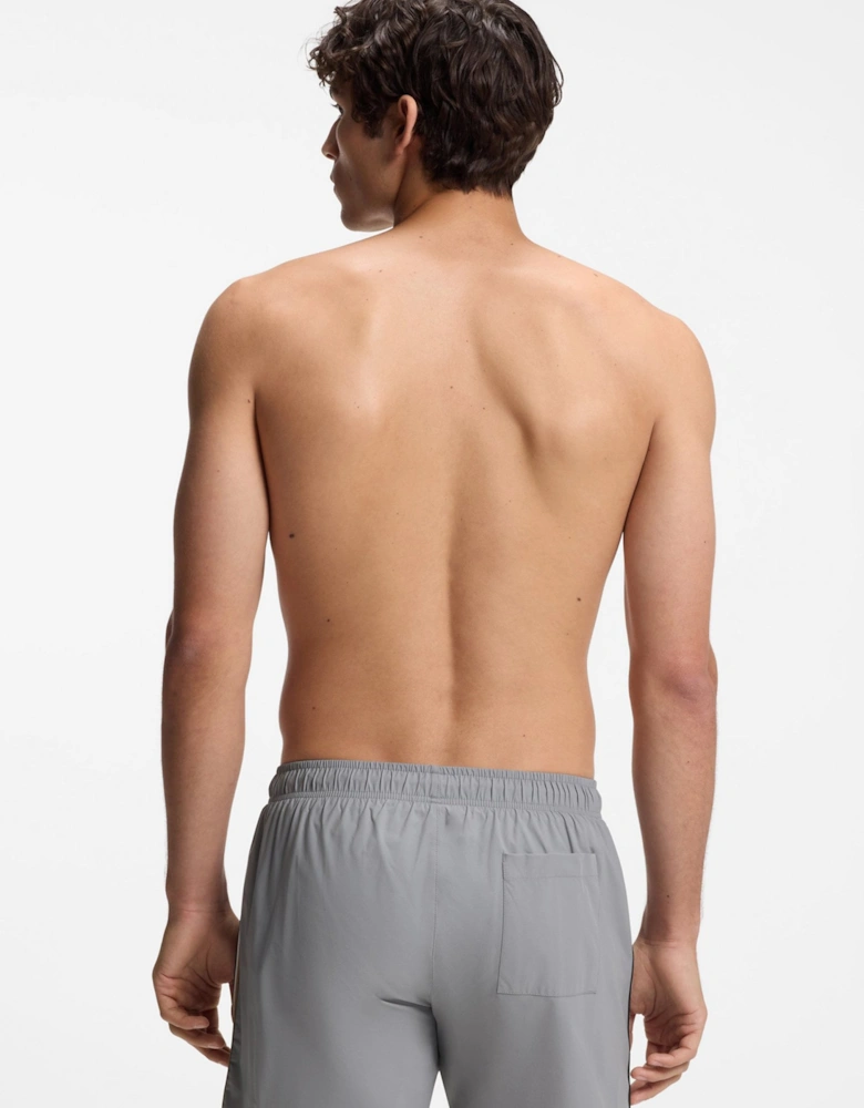 Iconic Swimshorts Grey