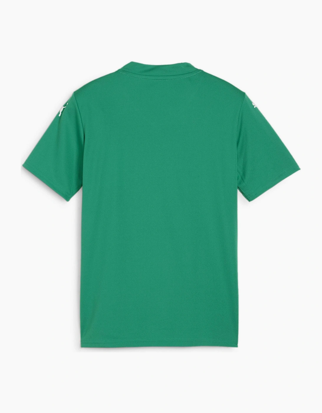 Teamglory Jersey Jr T-Shirt Unisex Kids