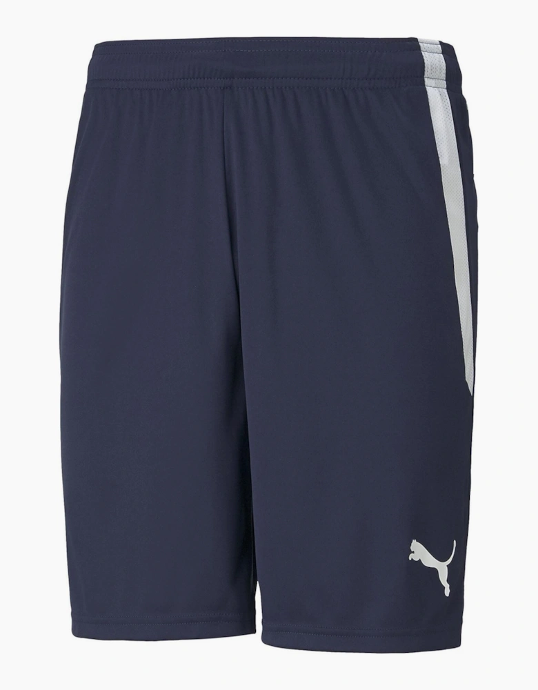 Mens Teamliga Shorts Football Shorts