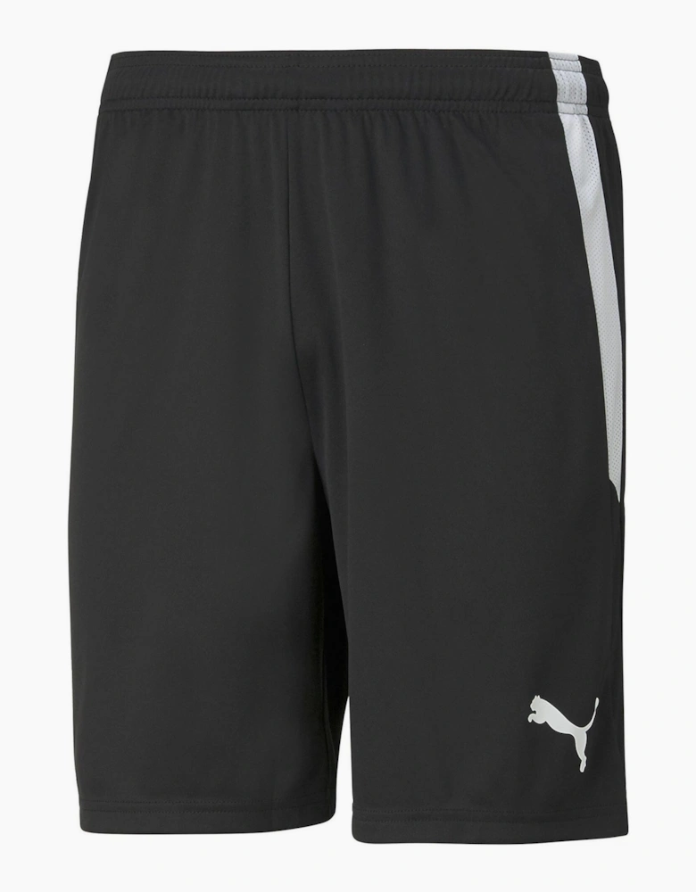 Mens Teamliga Shorts Football Shorts