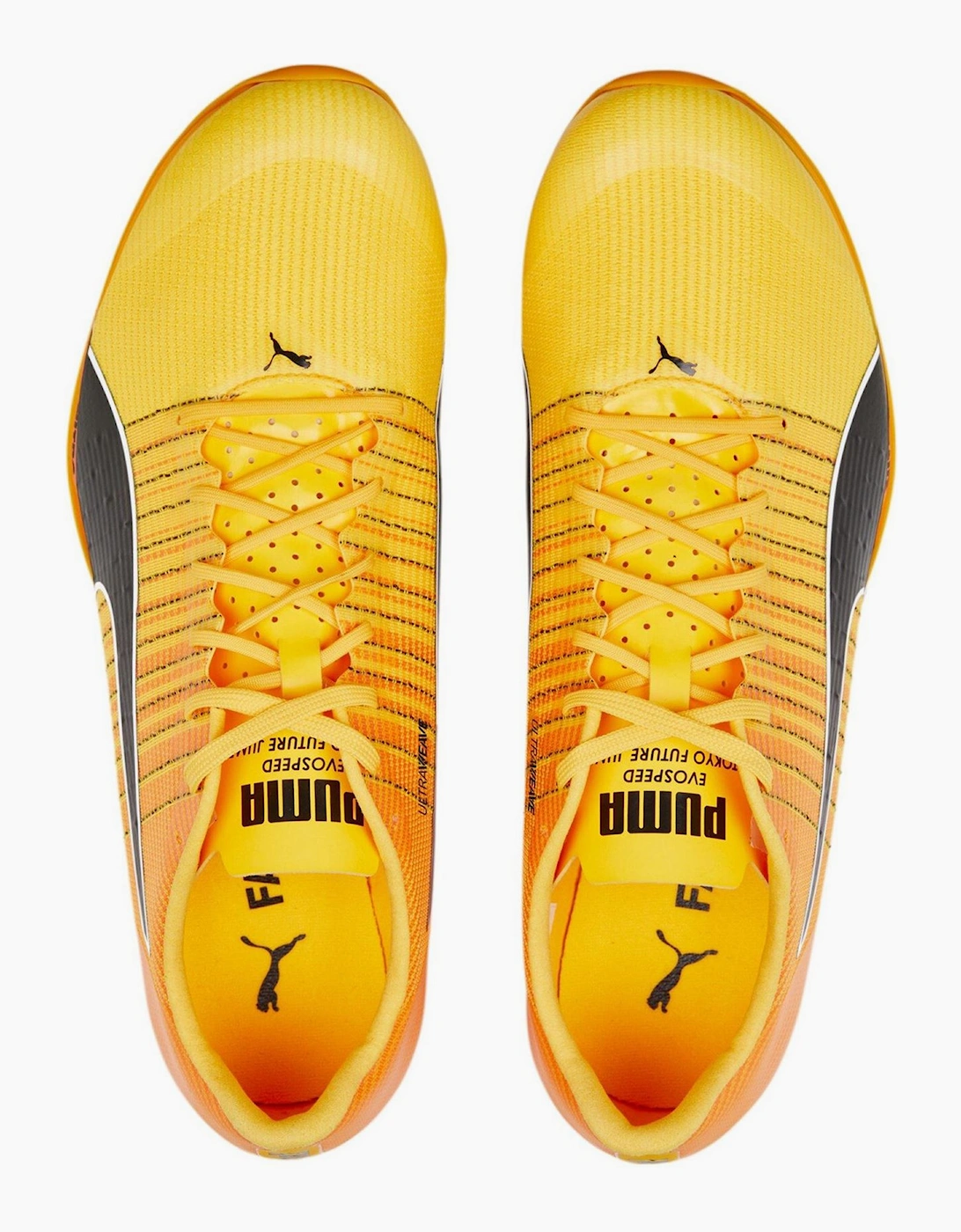 Mens Evospeed Tokyo Nitro Running Spikes