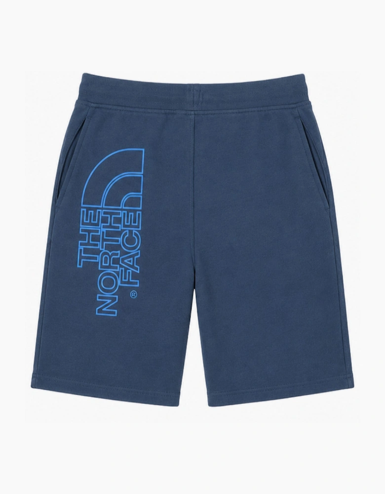 The North Face Mens Graphic Shorts in Teal Blue