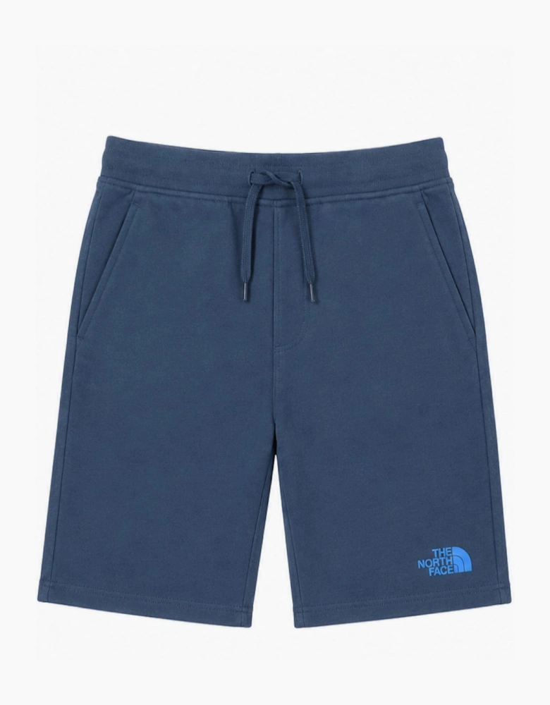 The North Face Mens Graphic Shorts in Teal Blue