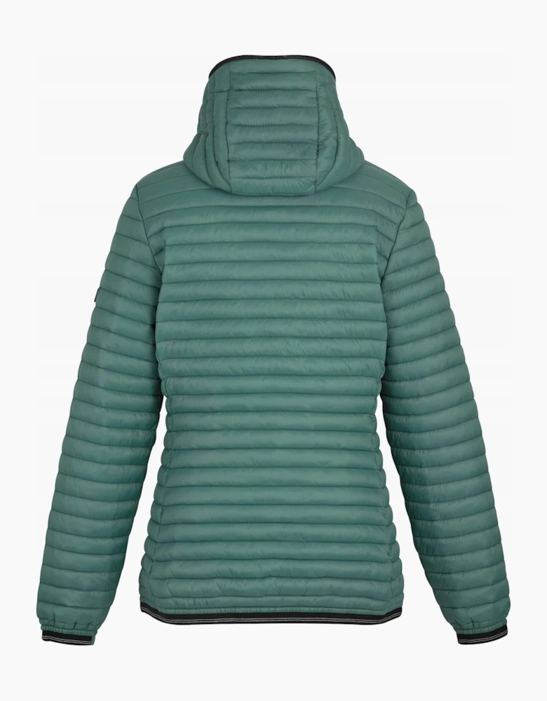 Regatta Womens/Ladies Rigain Padded Jacket