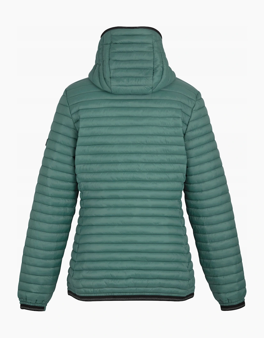 Regatta Womens/Ladies Rigain Padded Jacket