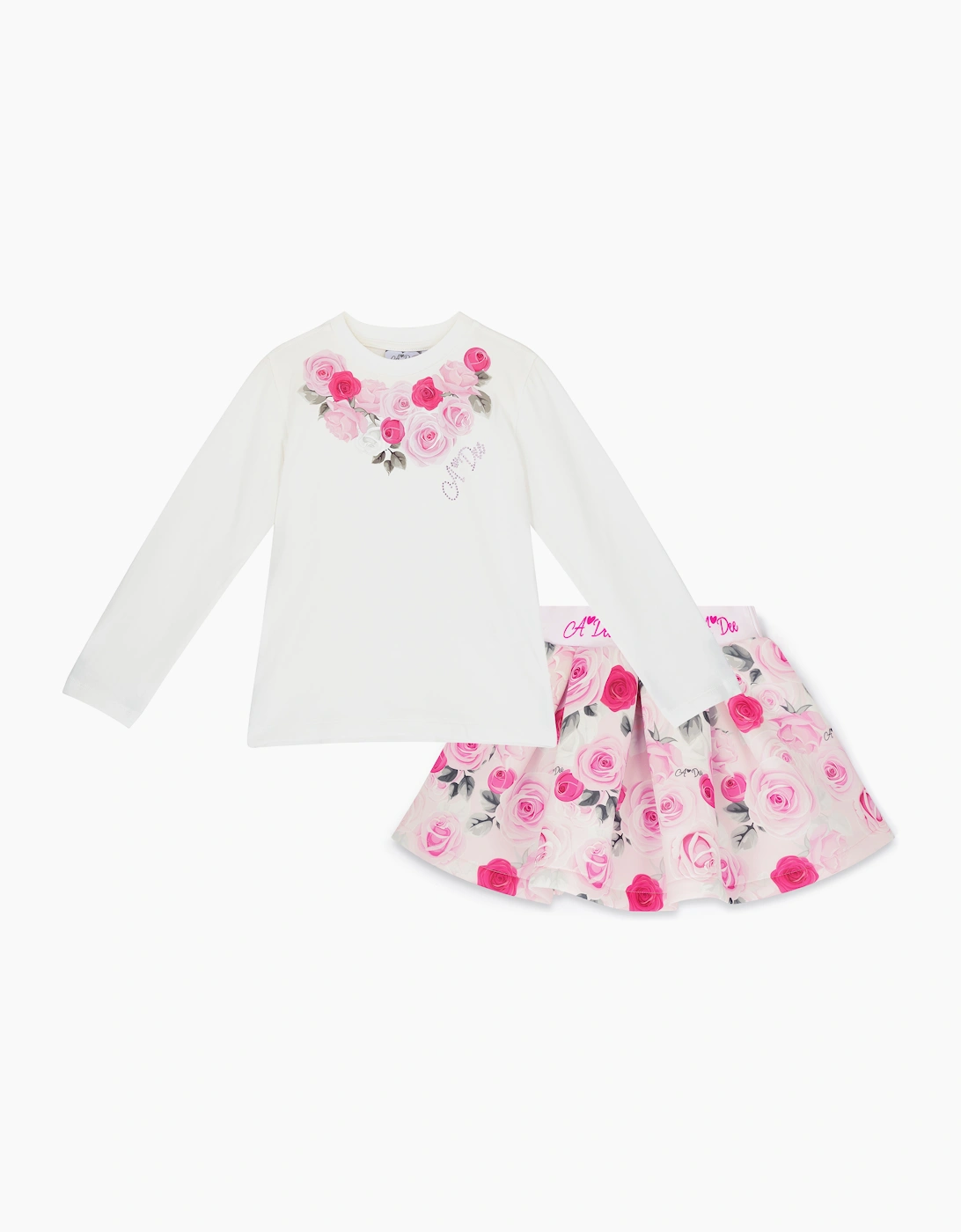 A DEE ARIELLA ROSE PRINT SKIRT SET W261505