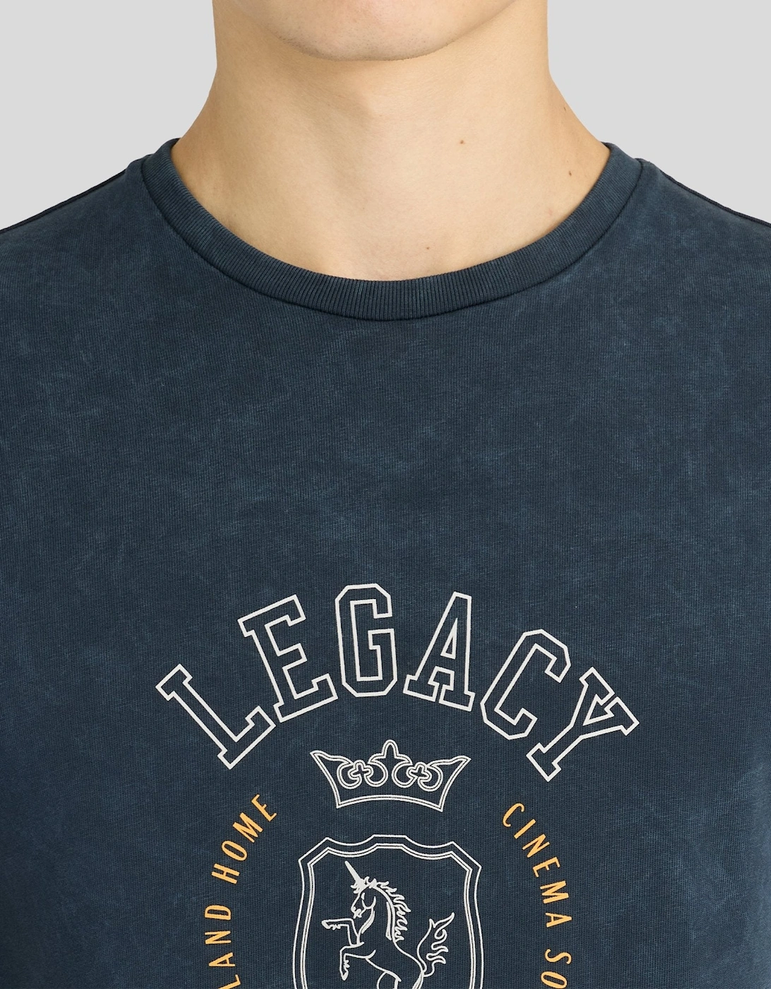 Chest Graphic Washed Cotton T-Shirt