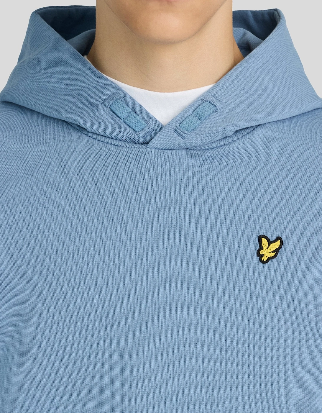 Brush Back Hoodie