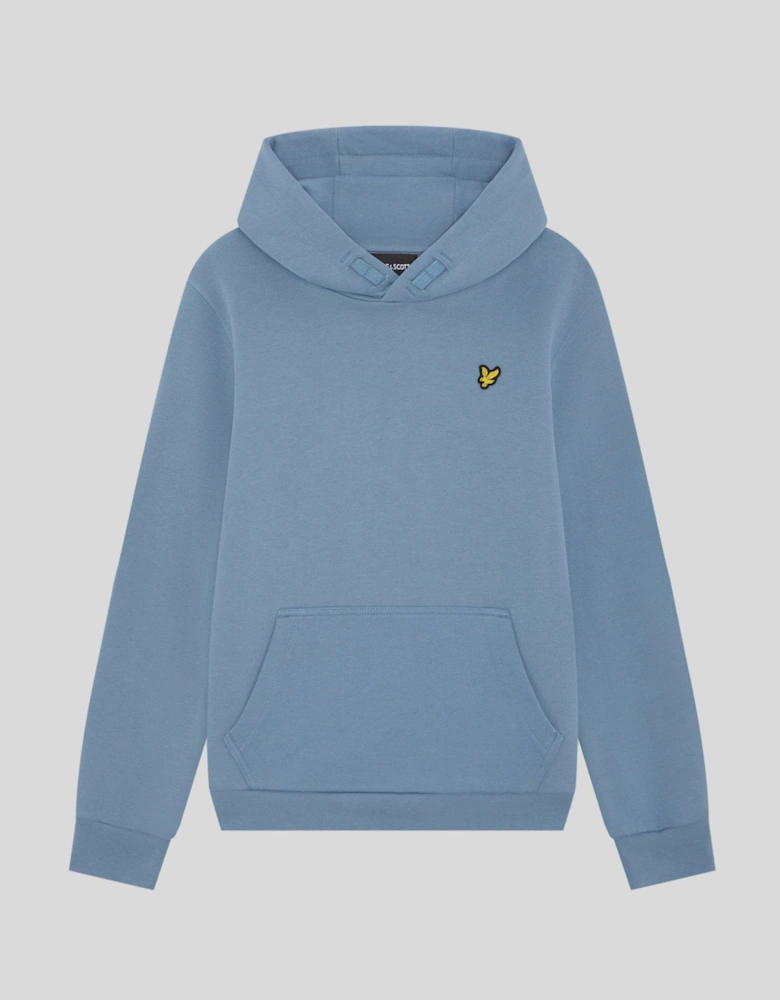 Brush Back Hoodie
