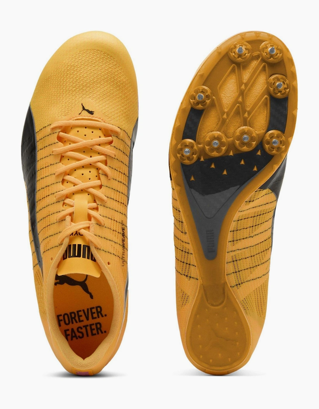 Evospeed Future 6 Track Running Spikes