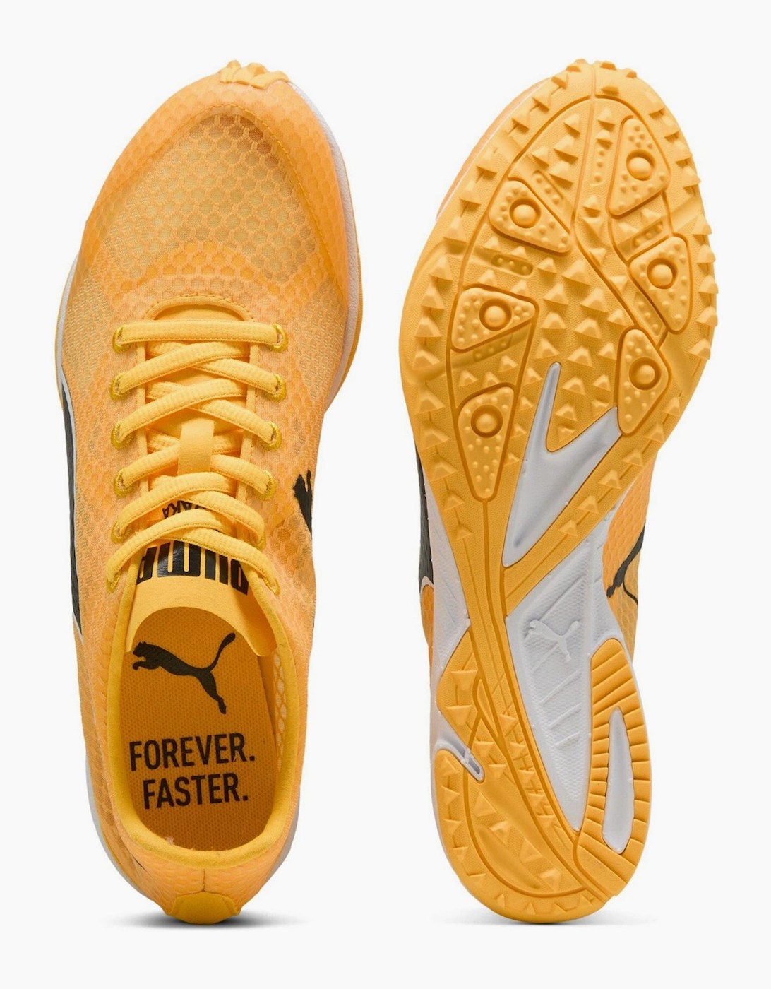 Evospeed Haraka 8 Off Road Trail Running Shoes