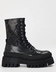 Black Snake